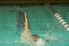 Swimming vs Bentley  Wheaton College Swimming & Diving vs Bentley College. - Photo by Keith Nordstrom : Wheaton, Swimming & Diving